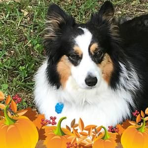 Meet your Posher, Carla